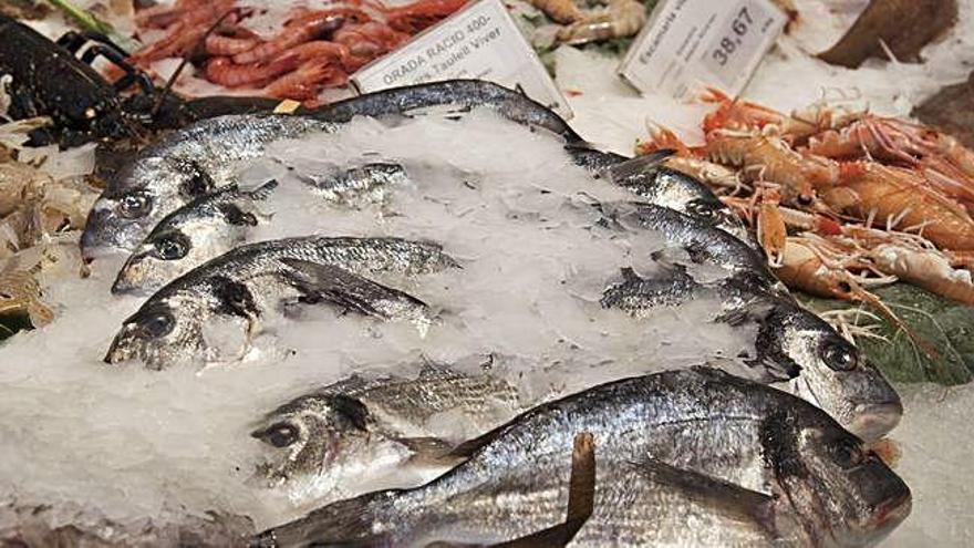 Orades fresques en una peixateria del Bages