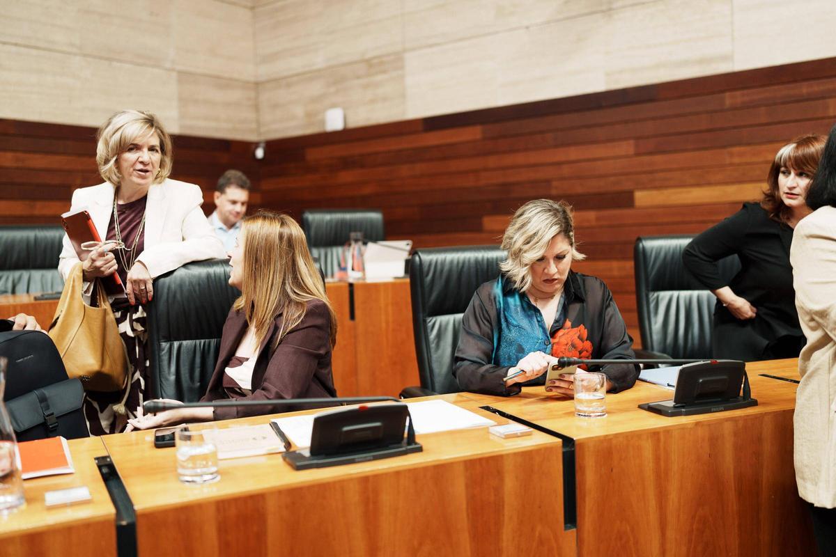 Fotogalería | Imágenes de la sesión del Pleno de la Asamblea de Extremadura este jueves, 28 de mayo