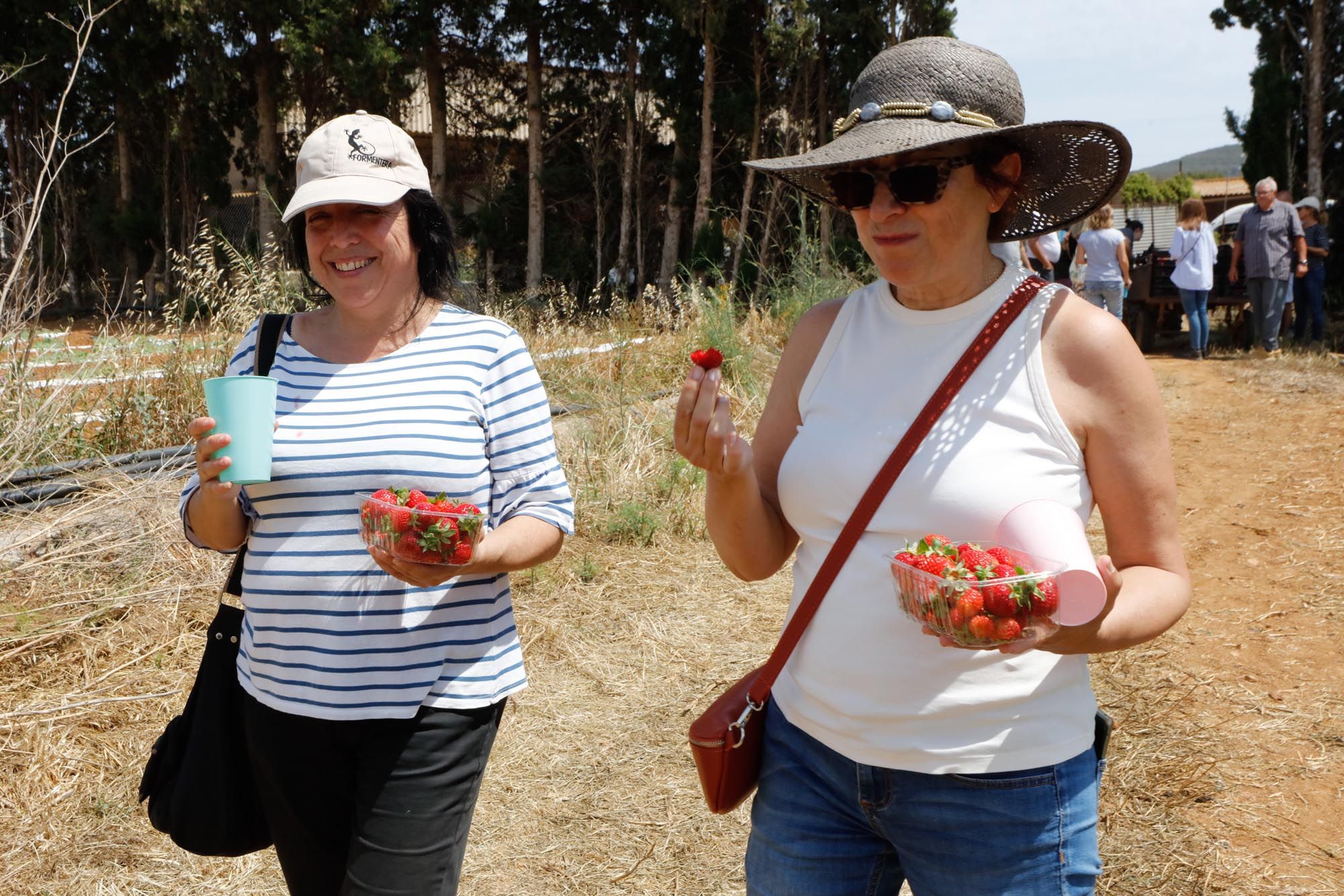 Visita guiada a la finca hortícola de Can Pol en Ibiza