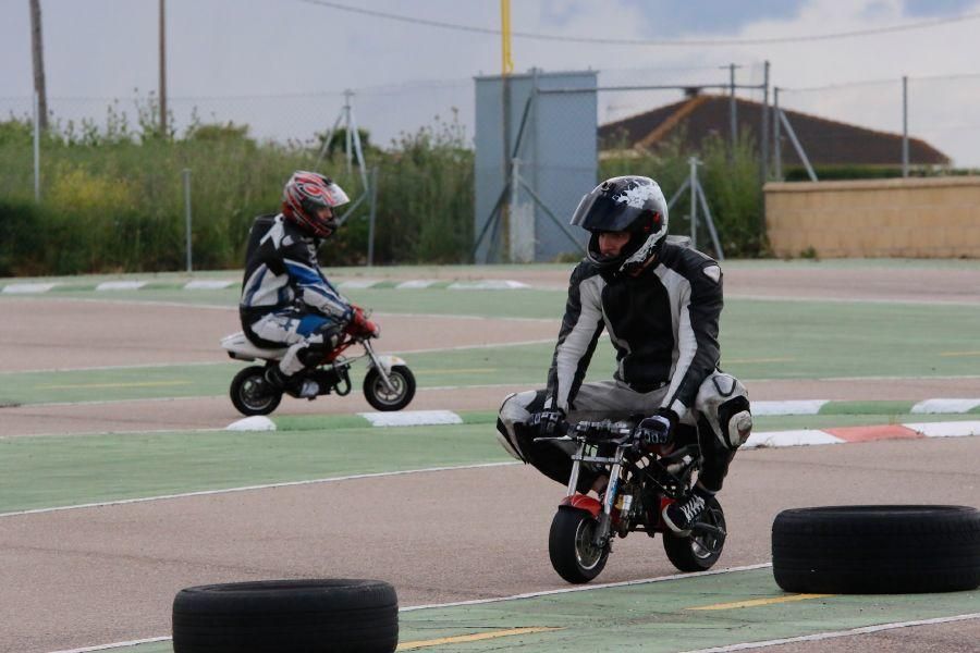 Exhibición de Minimotos en Morales del Vino