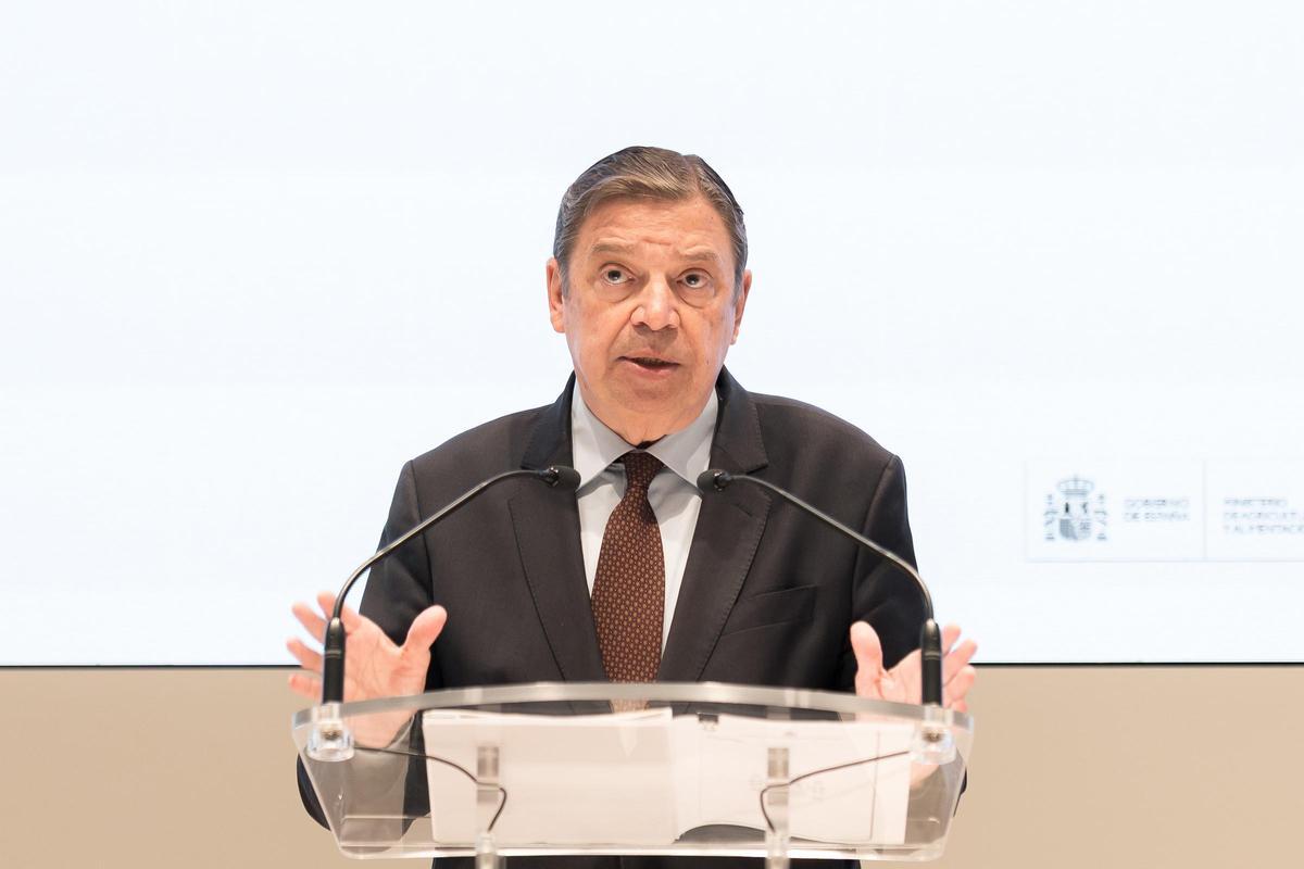 800 milions d’euros en joc: el Govern busca reduir l’impacte de la pesta porcina