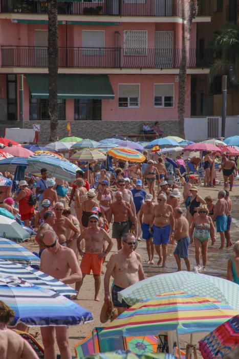 El buen tiempo y las buenas condiciones marítimas siguen animando a pasar la jornada en la playa pese a que desde hace tres semanas no hay servicio de socorrismo en Torrevieja