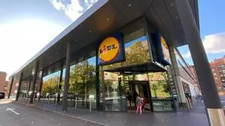 El electrodoméstico que sustituye al horno y a la freidora de aire ya cuesta menos de 40 euros en Lidl