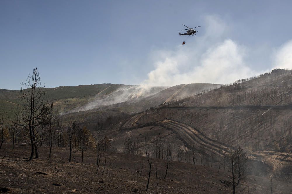 El incendio ha arrasado la zona de Verín.