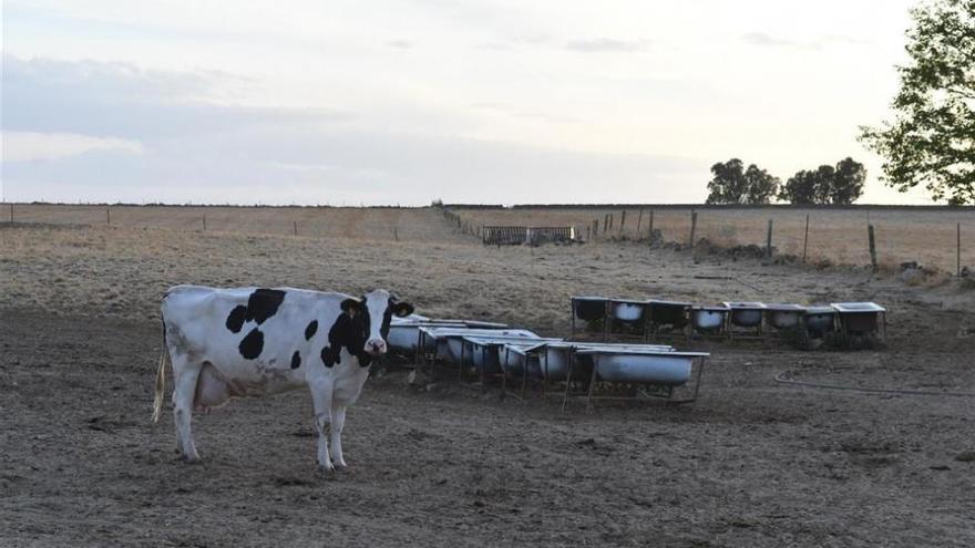 La falta de lluvias pone en alerta al campo, que reclama más regadío