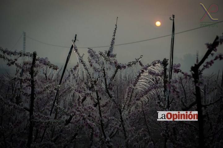 Helada del 17 de febrero de 2016 en Cieza