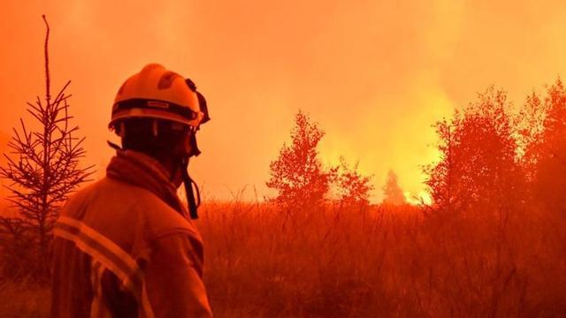 Un bomber treballa en l’incendi de la reserva natural d’Hautes-Fagnes, a Bèlgica.