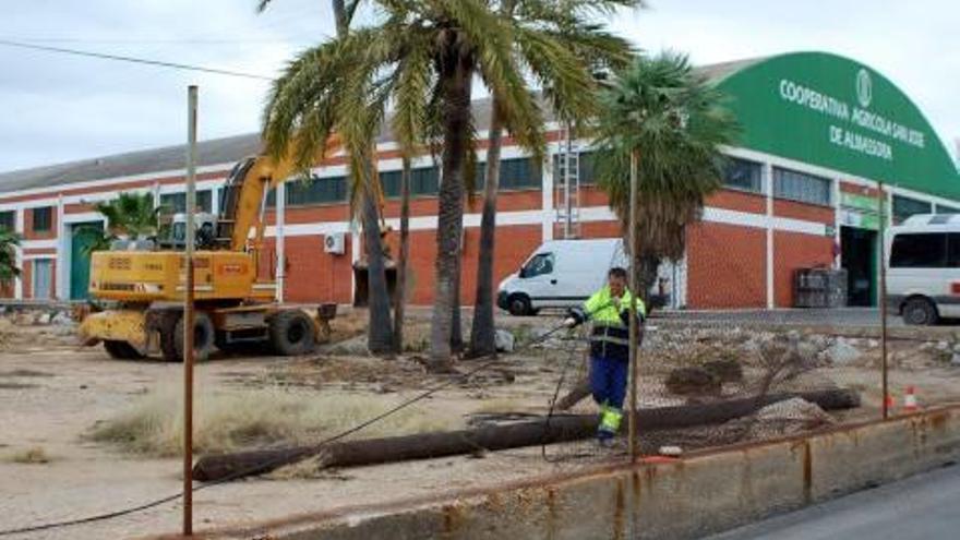 Almassora inicia las obras de adecuación del solar para el nuevo Recinte Fester