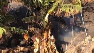 Localizados 43 sismos durante la madrugada en La Palma con magnitud máxima de 4,8