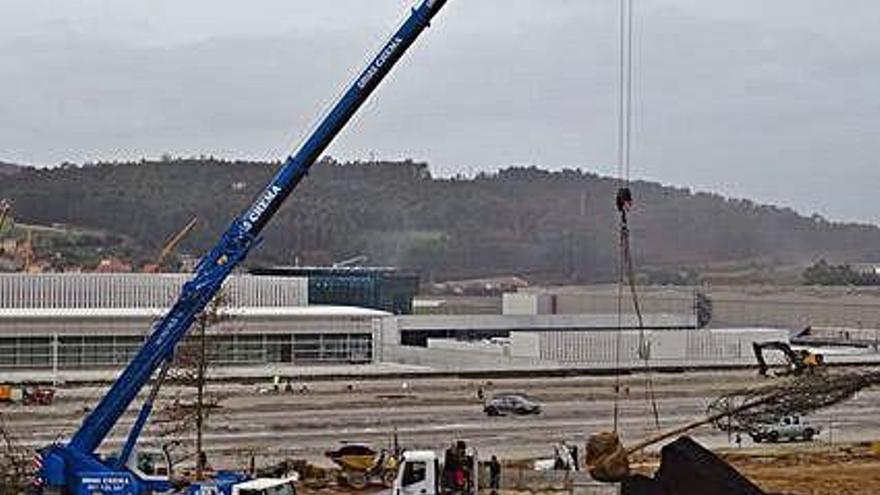 Una grúa para plantar árboles en Inditex