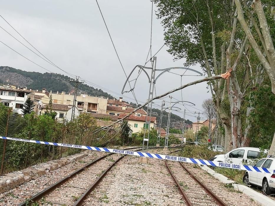 El temporal de viento provoca numerosos inciedentes en Sóller