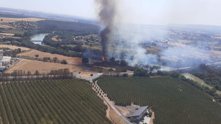 El Infoca interviene en el incendio de un terreno de cereal en Las Quemadas