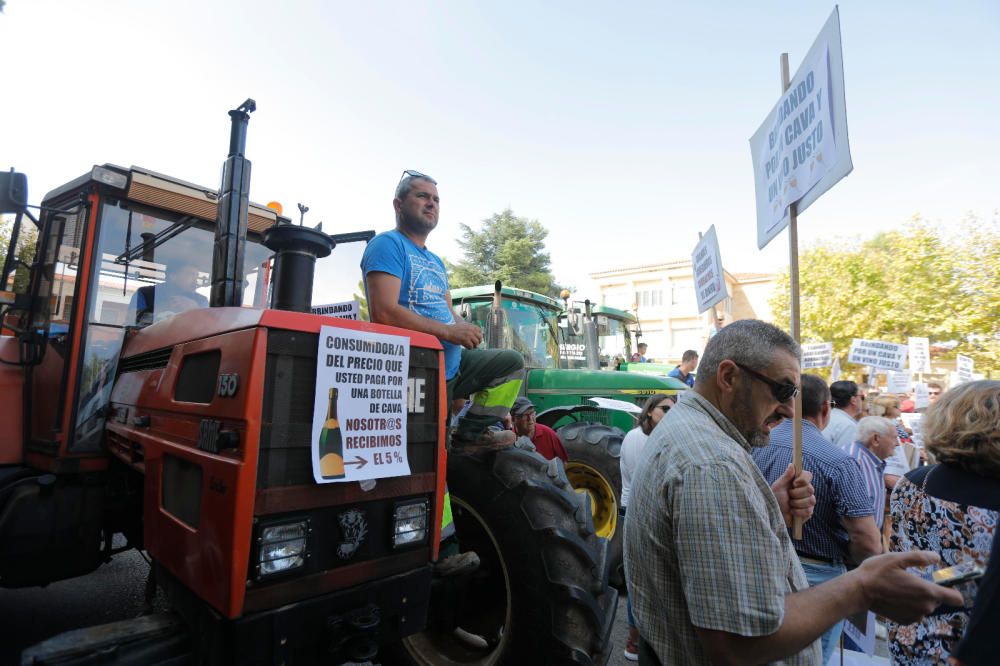 Instante de la tractorada de protesta en Requena.