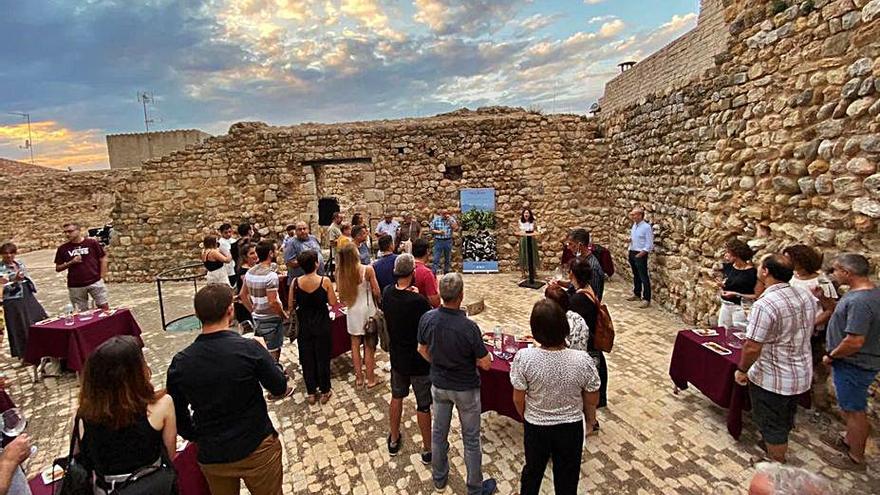 El tast de vins amb Mas Llunes al Castell