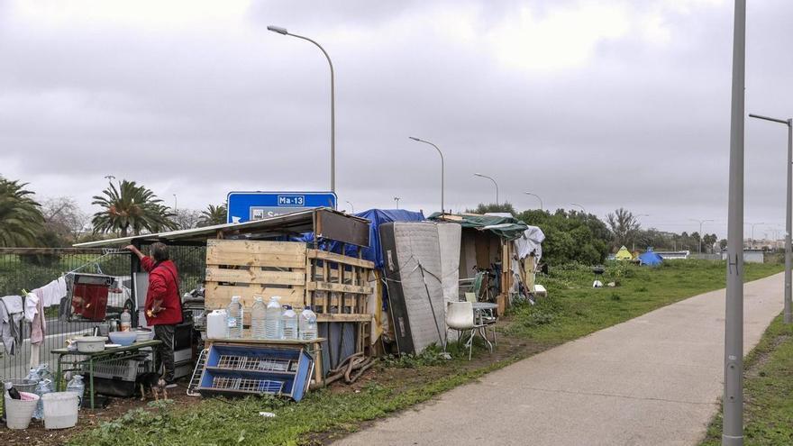 Palma, un jardín botánico con okupas