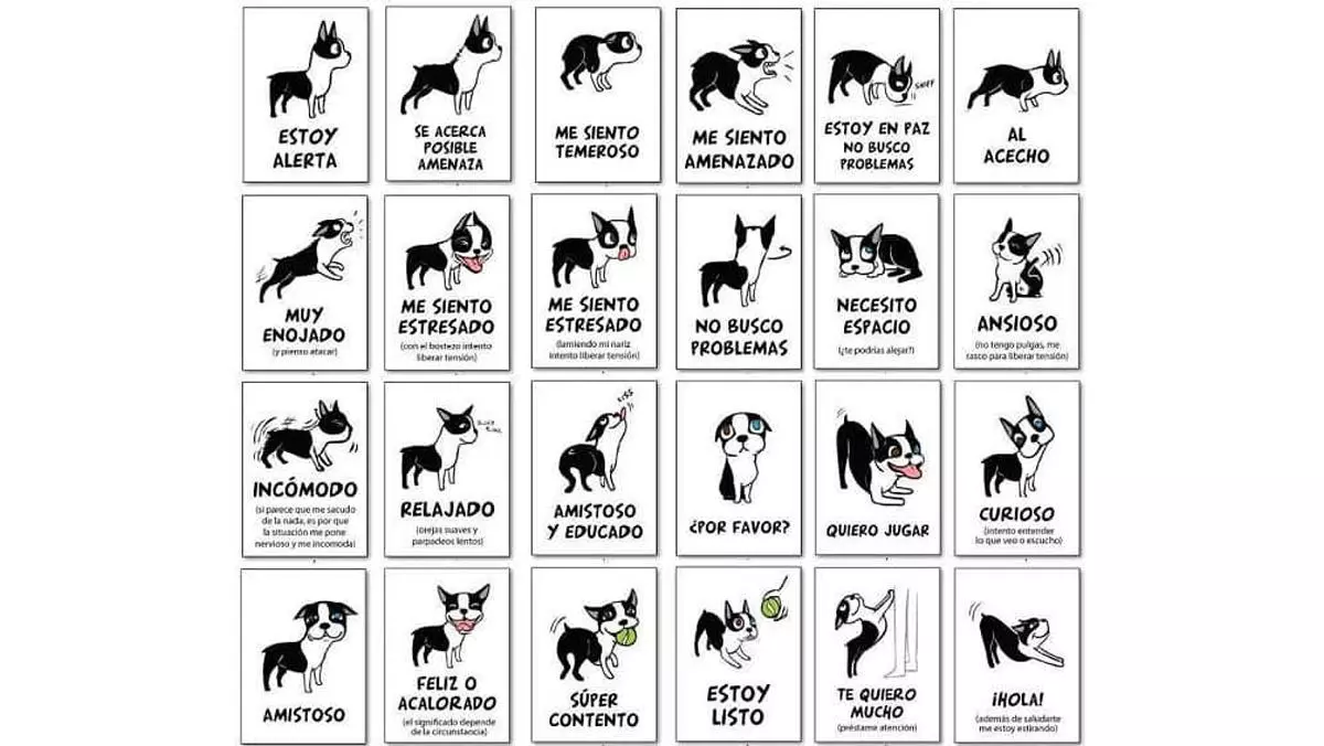 Entiende Lenguaje corporal canino