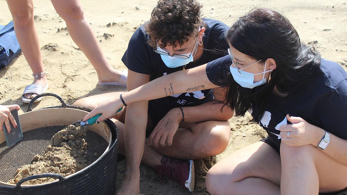 Varios de los estudiantes participantes en el proyecto durante la devolución de la tortuga.