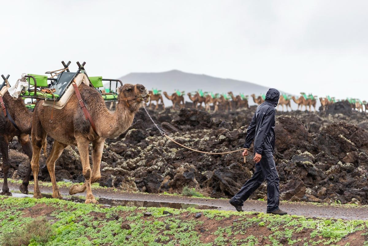 Lluvias en el municipio de Yaiza, en Lanzarote (13/01/25) Lluvias en el municipio de Yaiza, en Lanzarote (13/01/25)