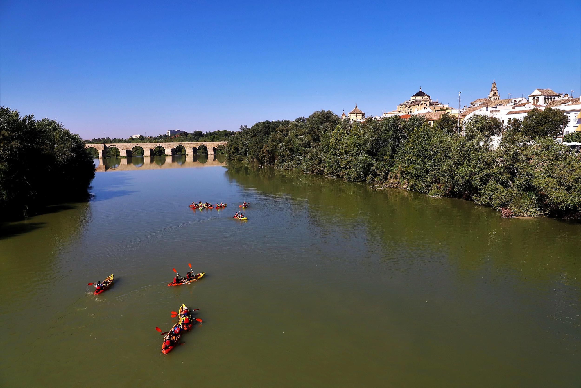 Paseos en kayak por el róio Guadalquivir