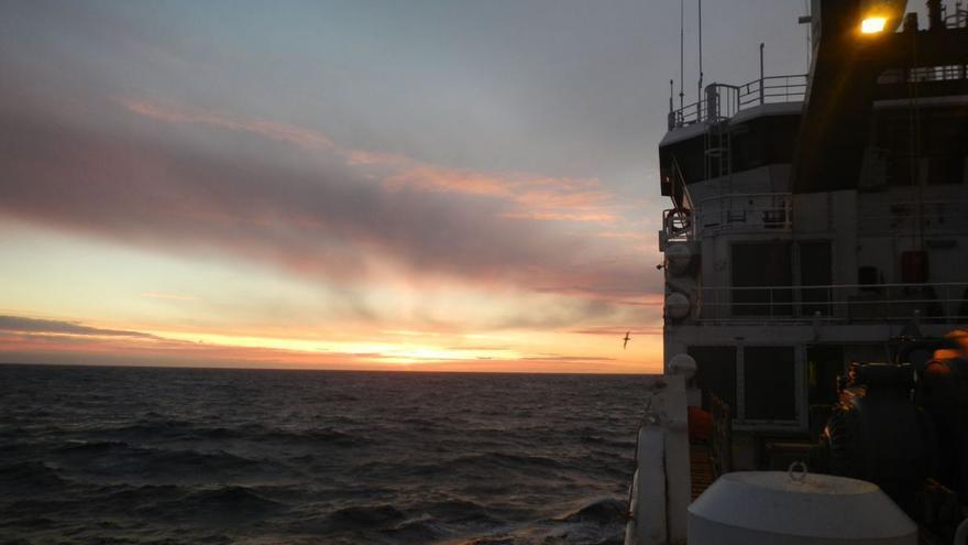 Los expertos del Oceanográfico de Gijón viajan a la Antártida por la esencia del fitoplancton