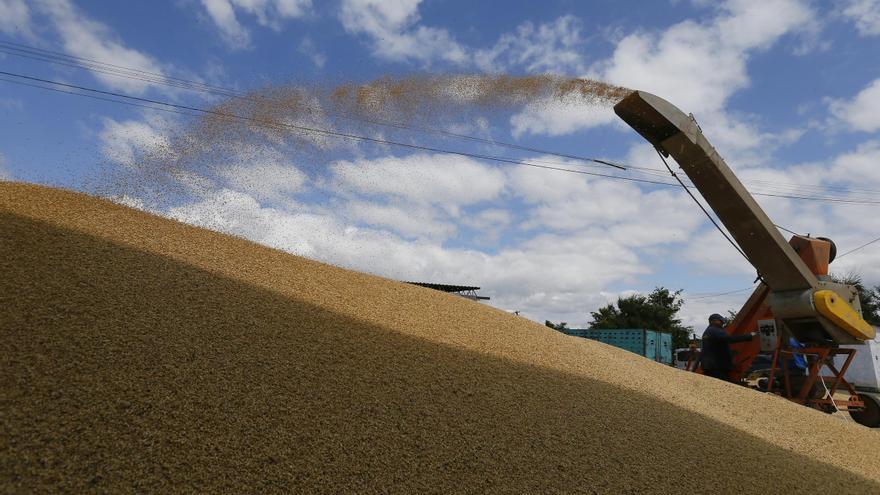 Polonia pacta un corredor para el grano ucraniano controlado por Lituania