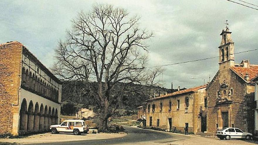 Réquiem por el árbol más simbólico de Vilafranca