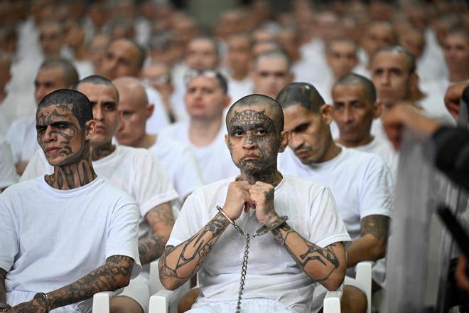 Juicio sin precedentes en El Salvador: 400 cabecillas de la Mara Salvatrucha MS13 son procesados en la cárcel del terror