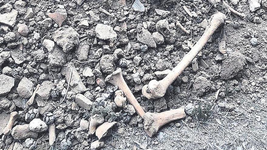 Estupefacció a Serinyà: restes humanes fora del cementiri