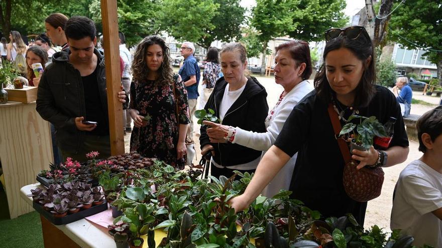 La cultura verde inunda la Alameda de Pontevedra en la tercera edición del Plant Fest