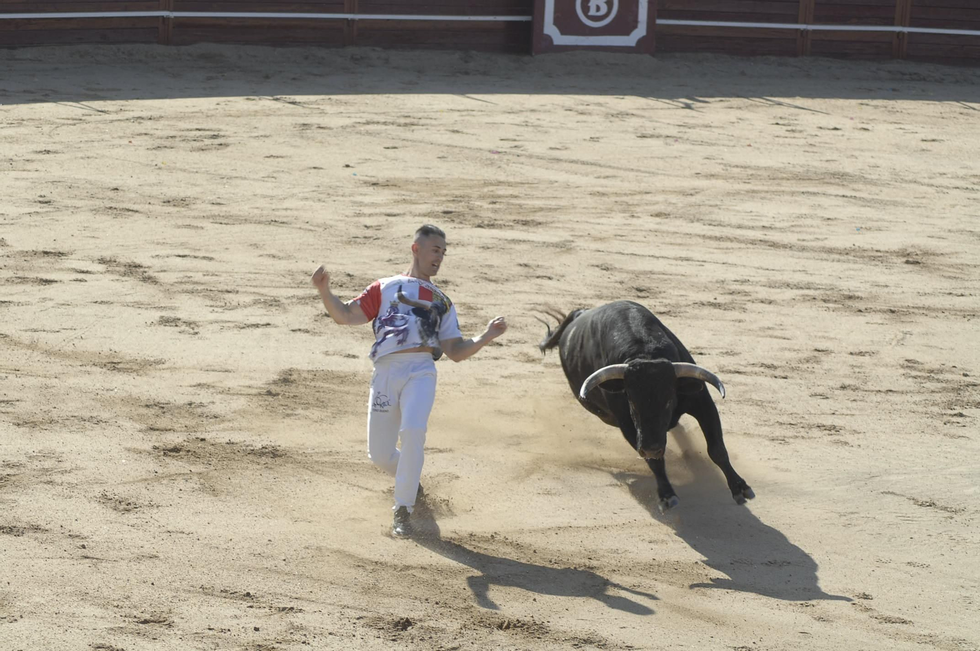 GALERÍA | Unos cuantos cortes de los arriesgados en Benavente