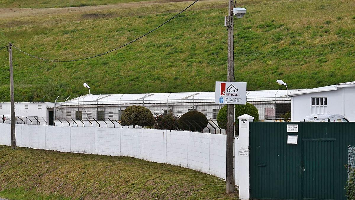 Centro de Acogida de Animales del Concello, situado en Bens.