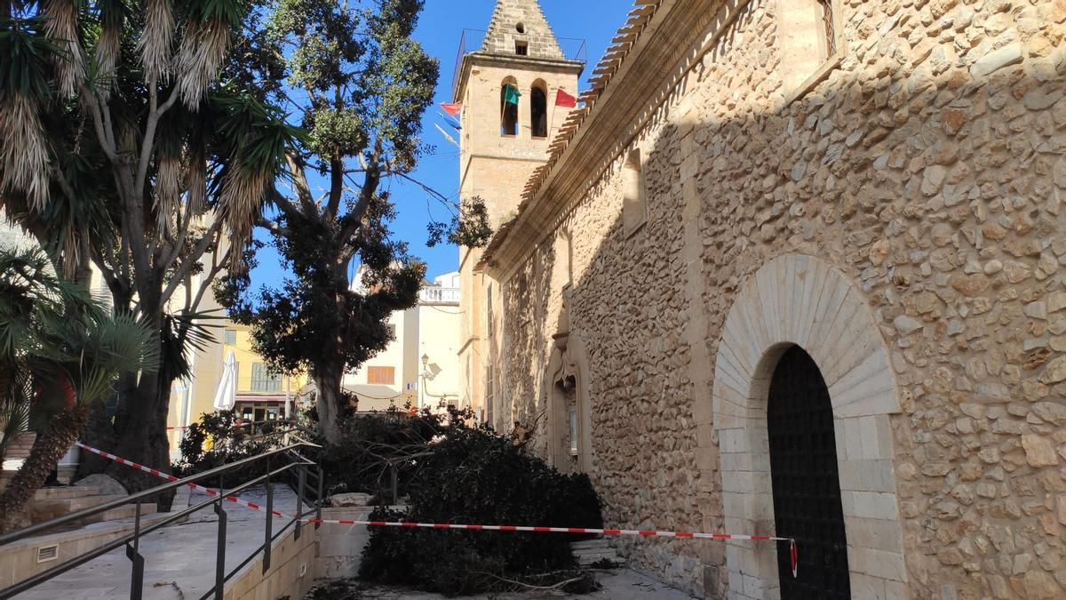 Los estragos de 'Hortense' en Mallorca