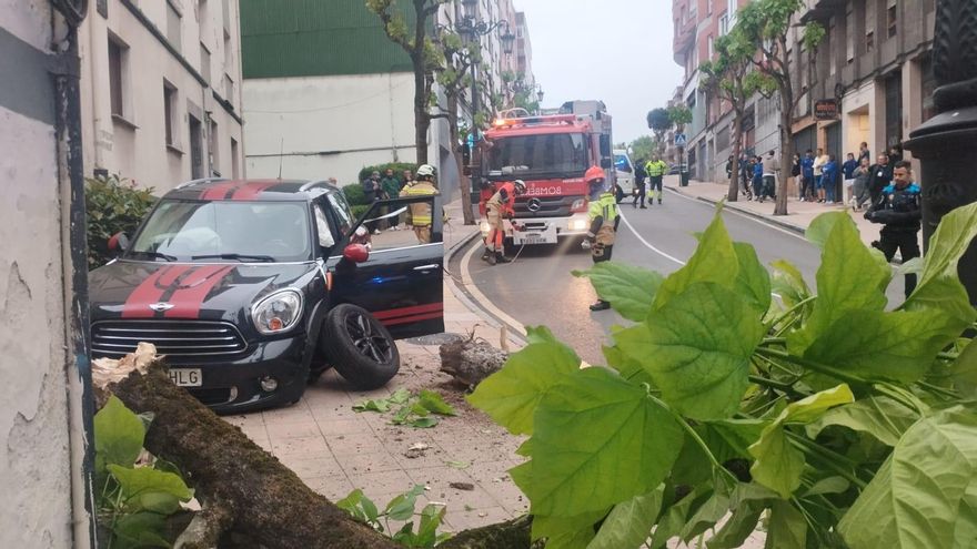 Detenido en Oviedo por conducir ebrio y arrancar de cuajo con su coche un árbol y una valla
