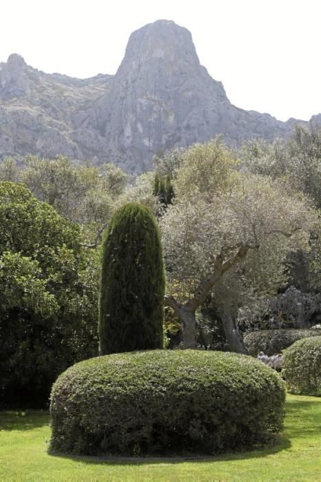 In Ariant blühen die mediterranen Pflanzen um die Wette. In dem von Heidi Gildemeister entworfenen Garten wird vieles den Launen der Natur und dem Zufall überlassen. Aber nicht alles.