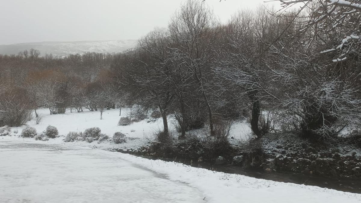 GALERÍA | Nieve en Sanabria: así amanece en estos pueblos