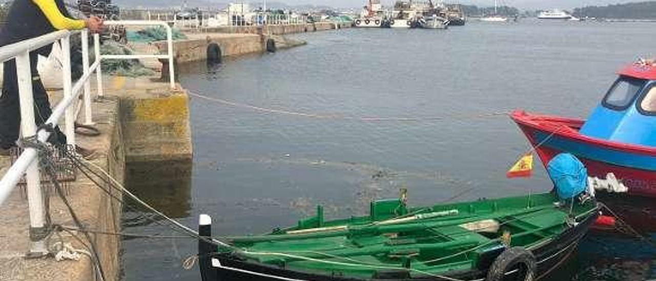 El puerto pesquero de O Corgo, pendiente de su dragado. // Muñiz