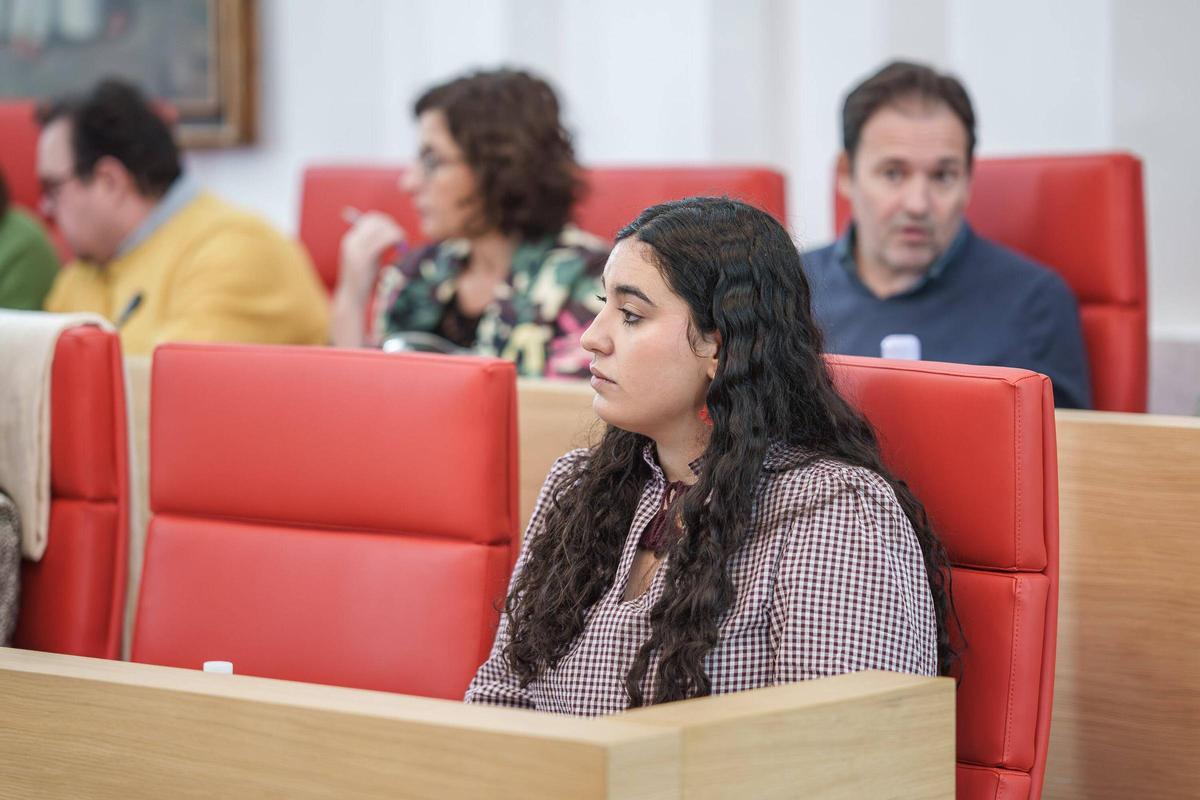 La sesión plenaria en el Ayuntamiento de Mérida se ha prolongado durante más de dos horas.