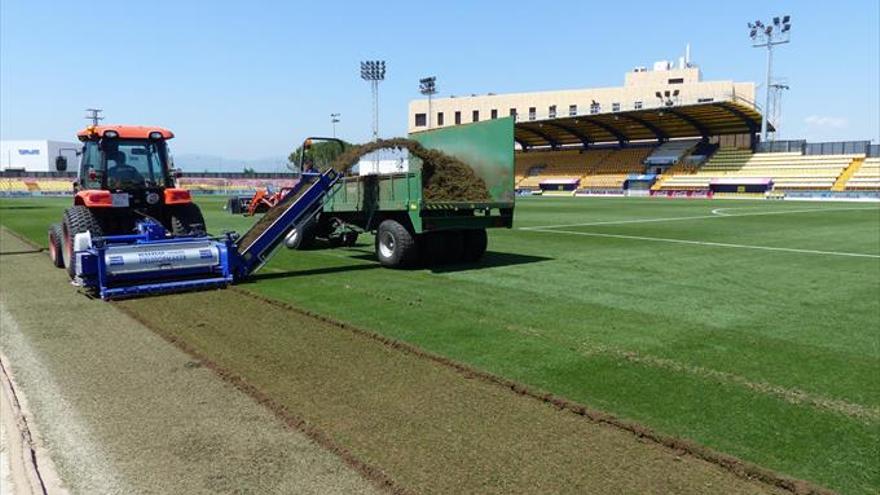 El ‘Mini Estadi’ estrenará césped en el inicio de Liga