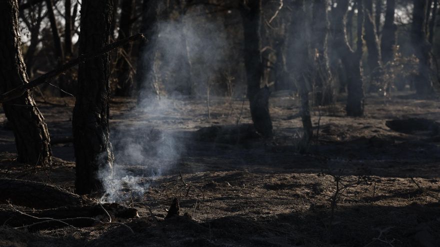 Controlado el incendio forestal de Méntrida, en Toledo