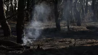 Controlado el incendio forestal de Méntrida, en Toledo