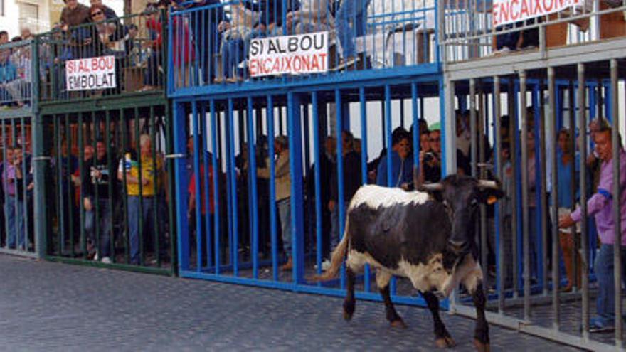 Los taurinos de Xàbia llenan los «cadafals» de carteles a favor del «bou embolat»