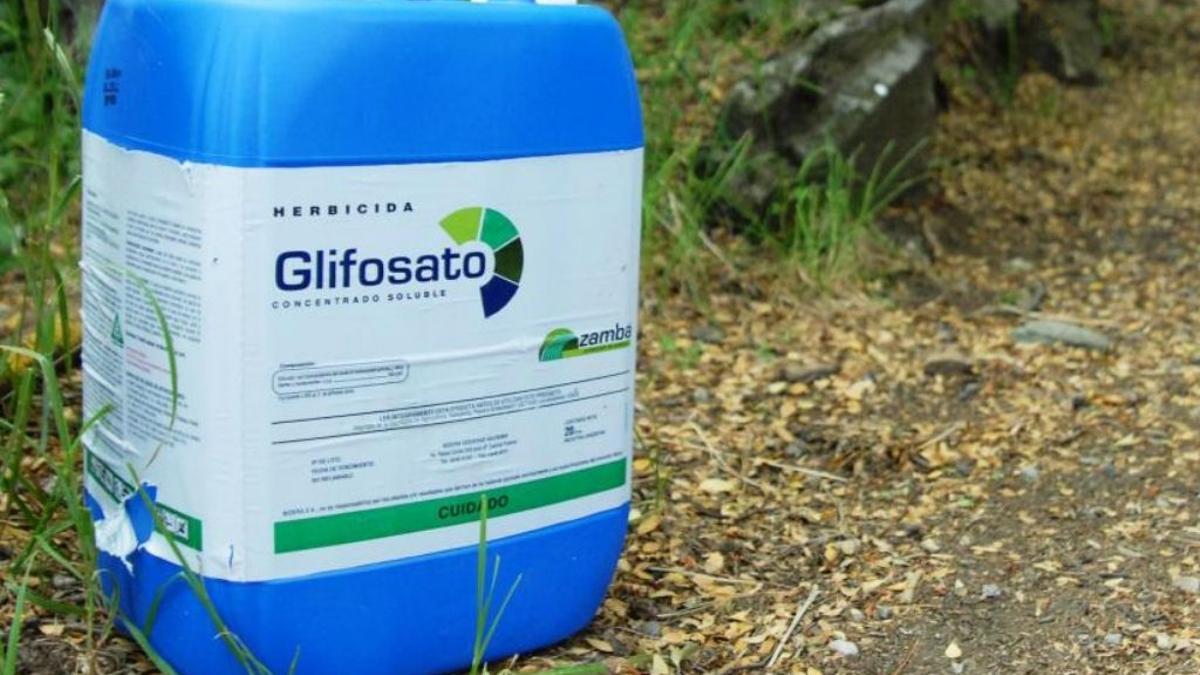 Envase de glifosato, principio activo del Roundup