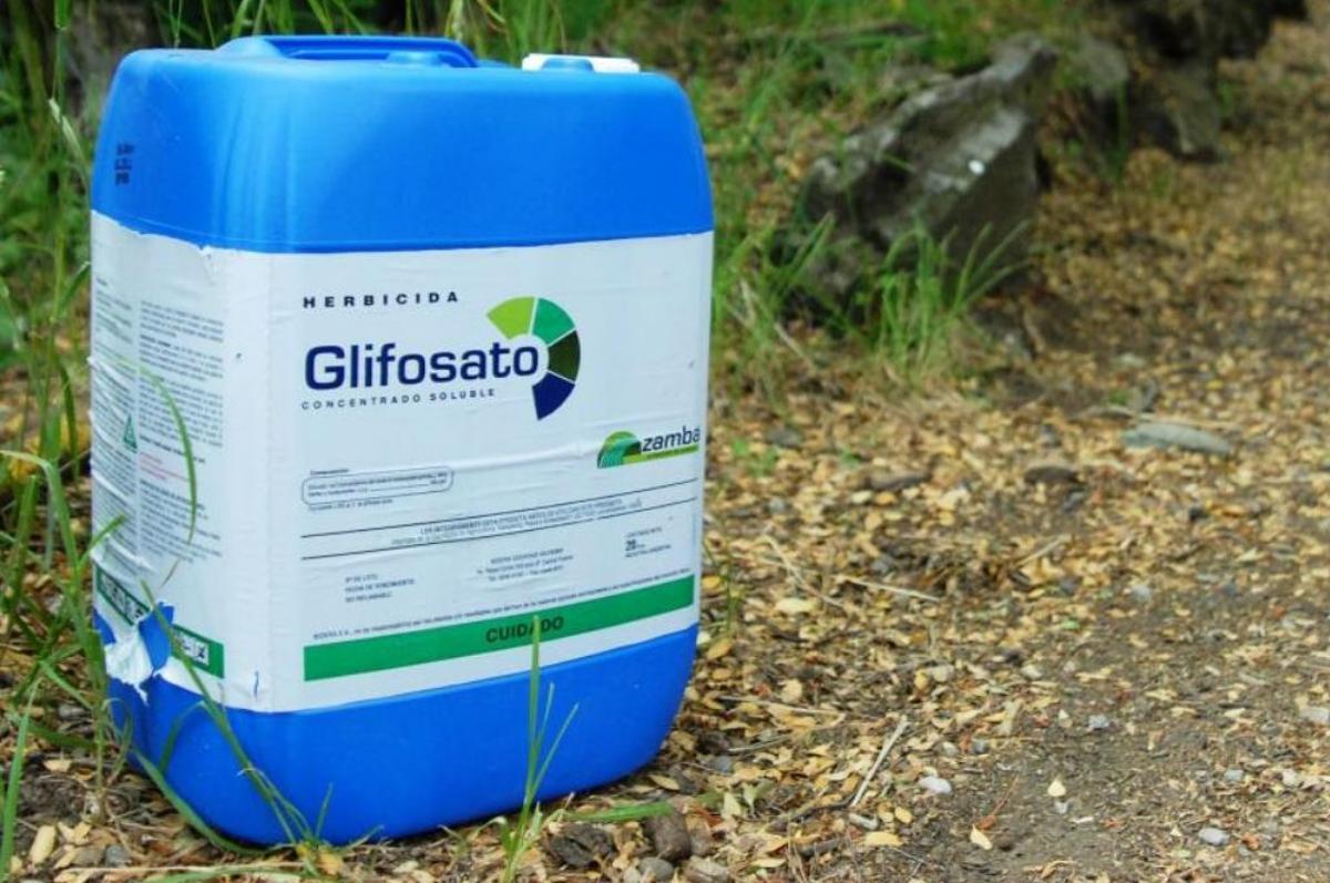 Envase de glifosato, principio activo del Roundup