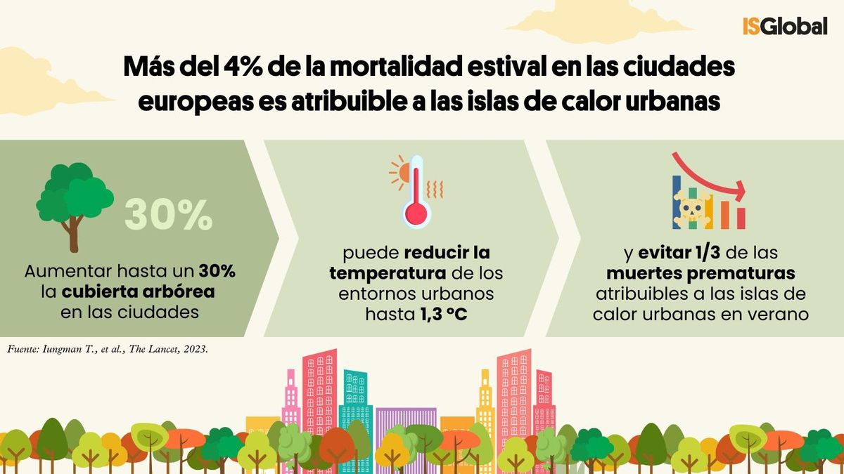 Los árboles, imprescindibles en las ciudades