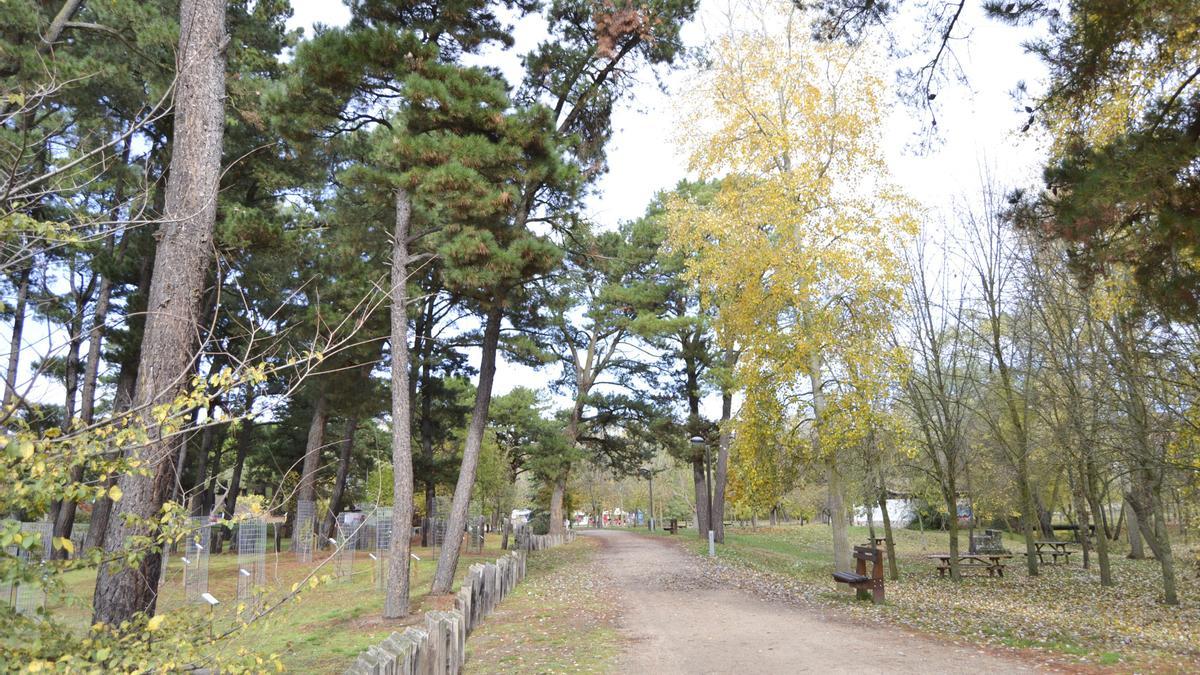 Bosque de Valorio