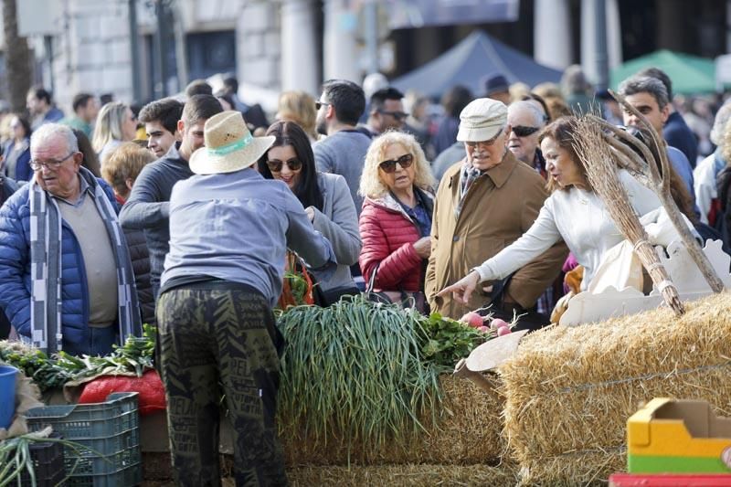 Los productos de proximidad llegan a la ciudad en "De l'horta a la plaça"