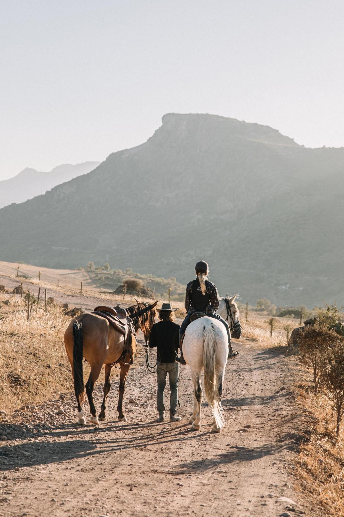 Las actividades com caballos son un destacado de la finca.