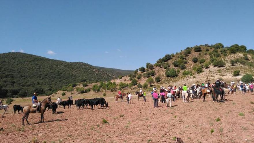 Unas 600 personas participan en la jornada de la trashumancia