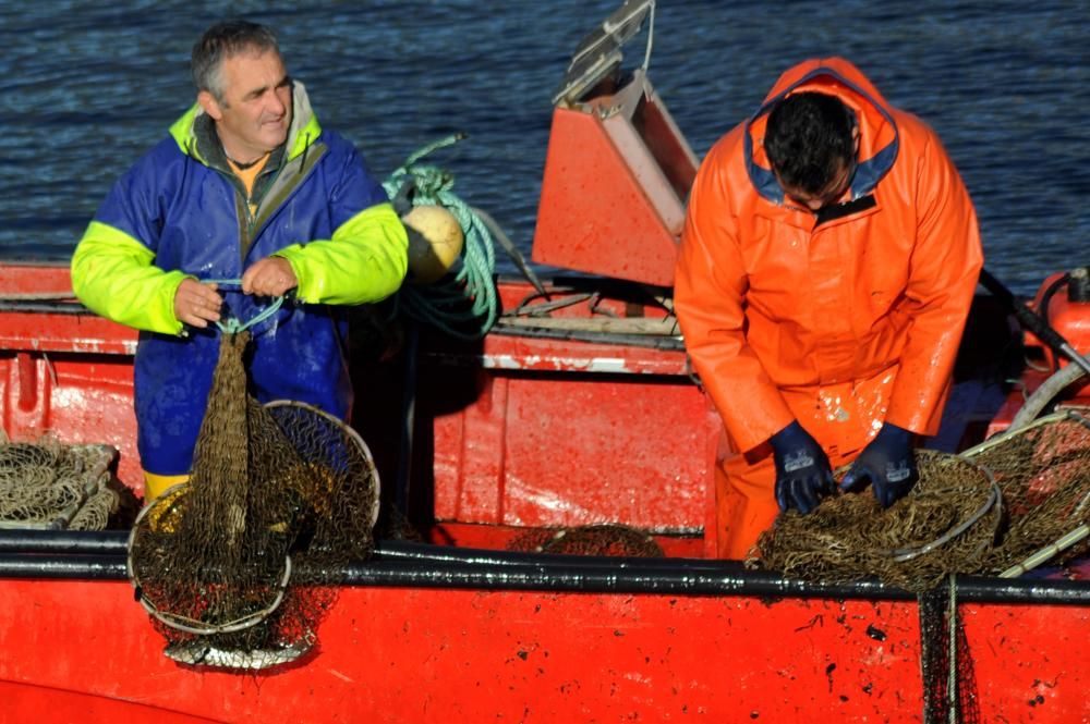 Pesca de lamprea en el Ulla