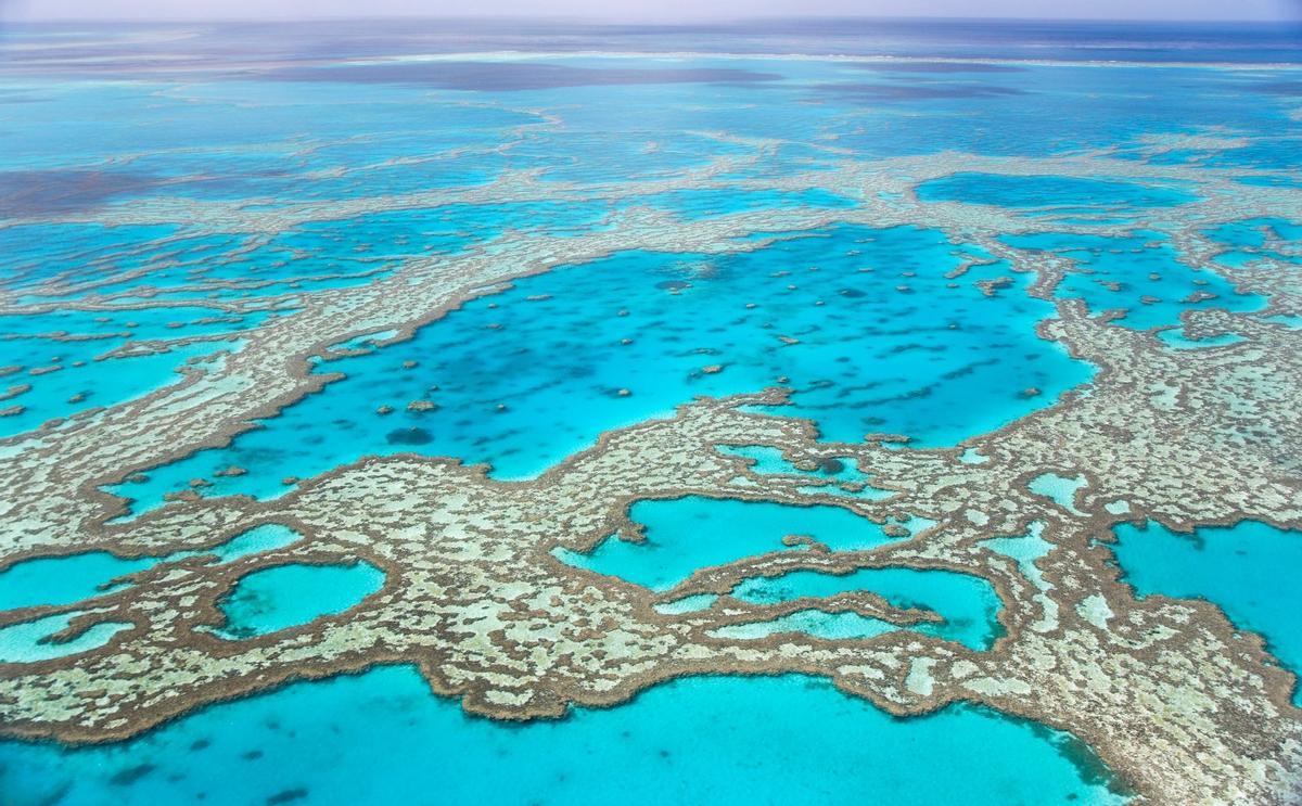 Gran Barrera de Coral